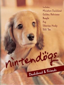 Nintendogs: Dachshund & Chingudeul